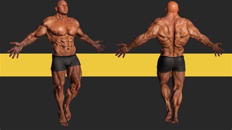 bodybuilder 3d model|More.